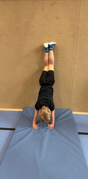 parkour2026